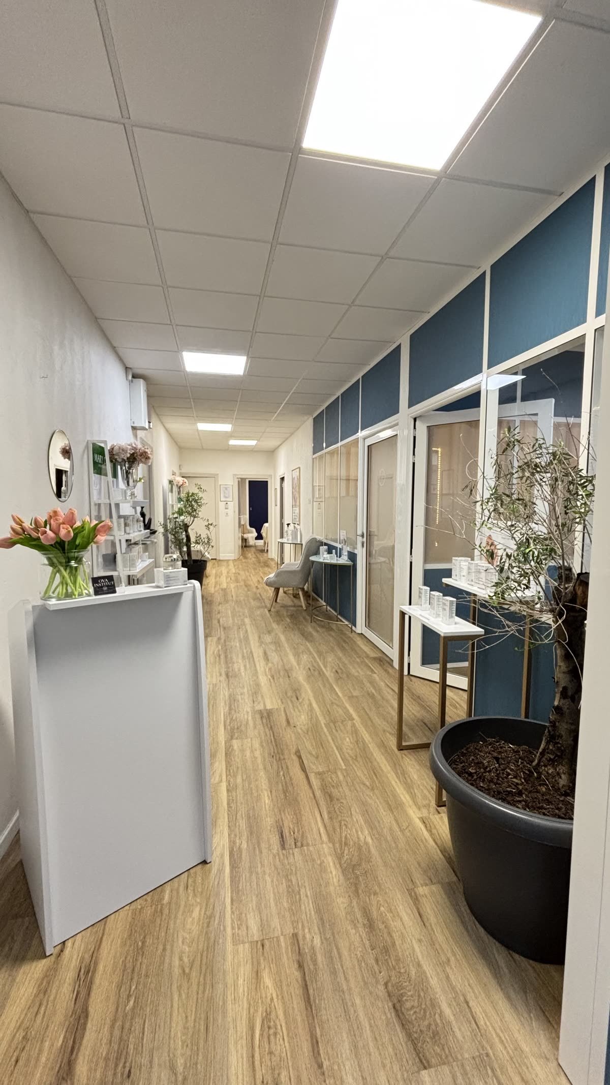 Intérieur d'Ova Institut, institut de beauté à Thiers
